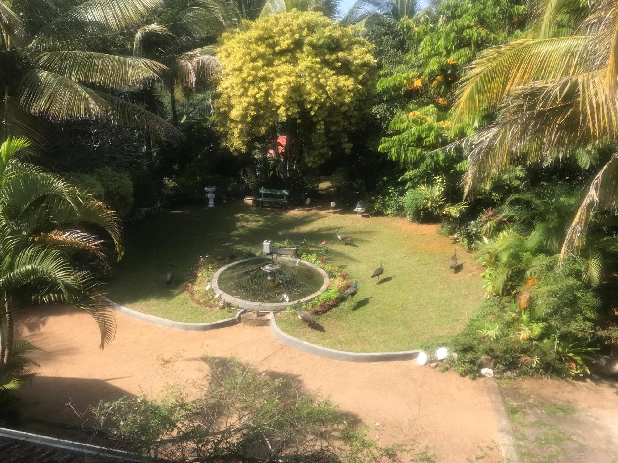 Wattarantenna Bungalow Kandy Bagian luar foto